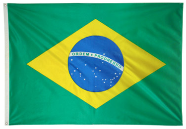 bandeira-do-brasil-oficial-estampada_1_630.jpg